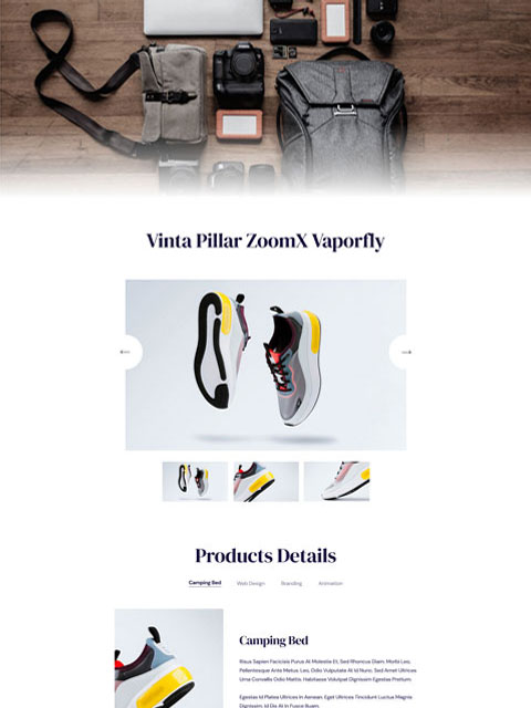 Product Details